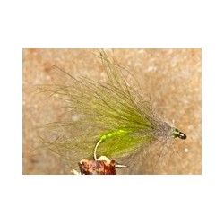 CDC palmer olive