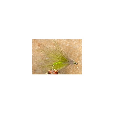 CDC palmer olive