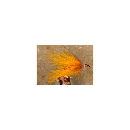 CDC palmer orange