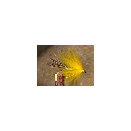 CDC palmer yellow