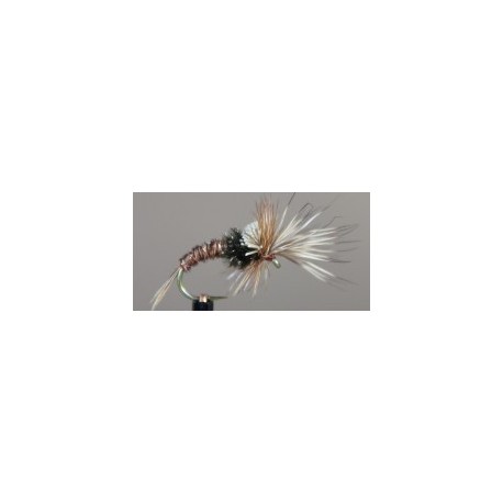 Challenged Mayfly Emerger