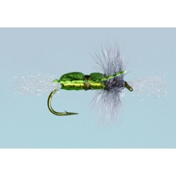 Cheech's Grumpy Frumpy Bwo