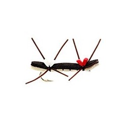Chernobyl Ant