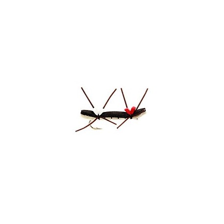 Chernobyl Ant