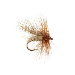 Cinnamon Caddis