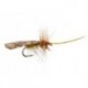 Cinnamon Sedge