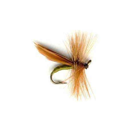 Cinnamon Sedge