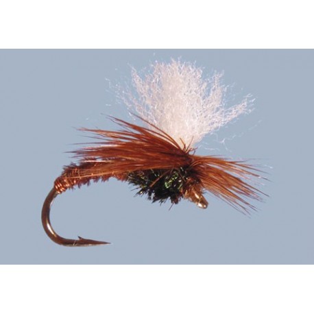 Click Emergent Pheasant