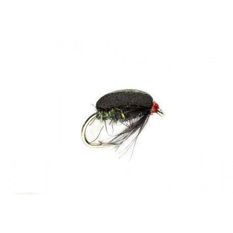 Coch Y Bonddu Beetle