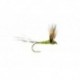 Compara Dun Olive