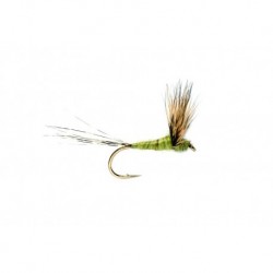 Compara Dun Olive