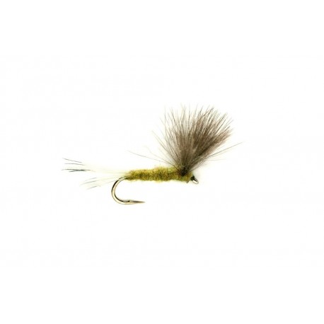 Compara Olive CDC