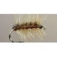 Crackleback Brown Spider