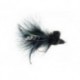 Diving Bug