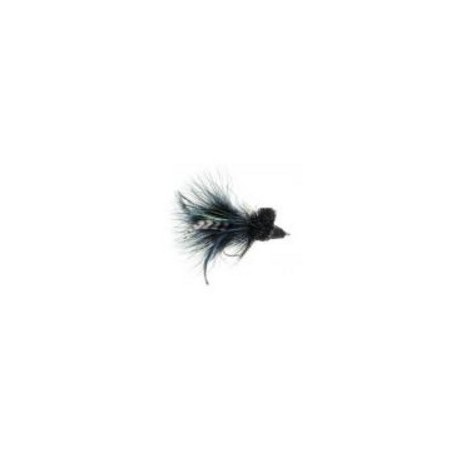 Diving Bug