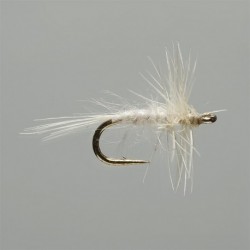 Cream Midge