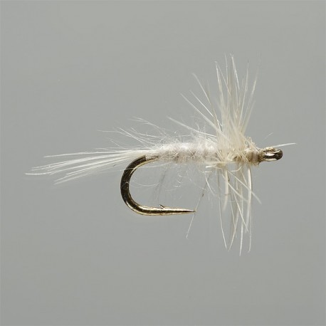Cream Midge
