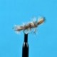 Cripple Callibaetis