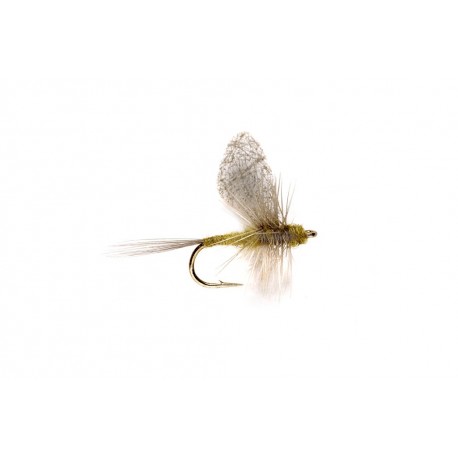 Crippled Dun Bwo