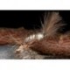 Crippled Mayfly