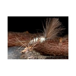 Crippled Mayfly