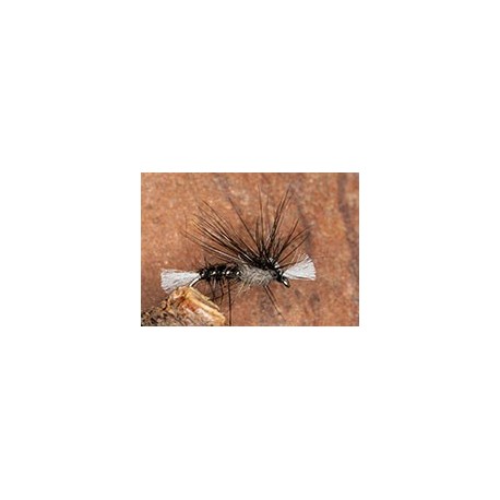 Crippled Midge Black