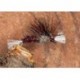 Crippled Midge Claret