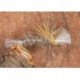 Crippled Midge Hares Ear
