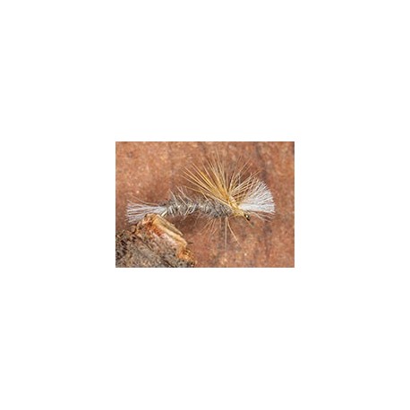 Crippled Midge Hares Ear