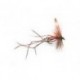Daddy Longlegs Crane Fly