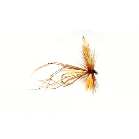 Daddy Longlegs Detached