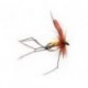 Daddy Longlegs Orange