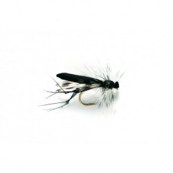 Daddy Longlegs Yellow