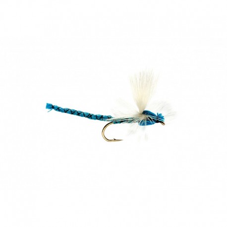 Damsel Blue
