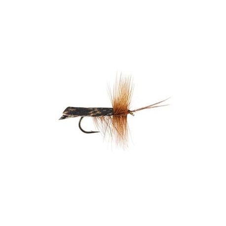 Dark Brown Horned Roof Wing