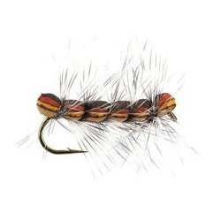 Dark Caterpillar