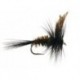 Dark Peacock Dry