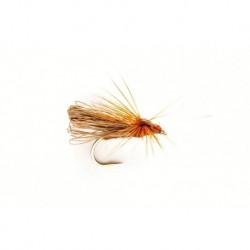 Davy's Brown