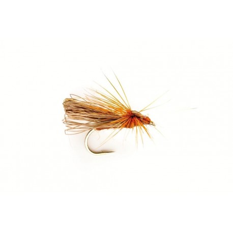 Davy's Brown