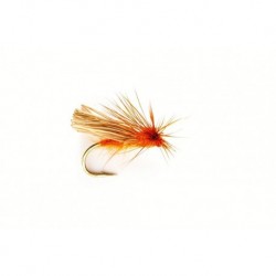 Davy's Orange