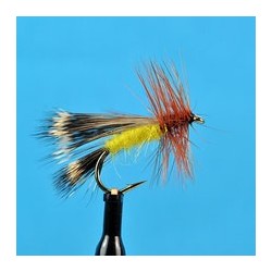Deschutes Caddis