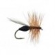 Devaux Black Ant