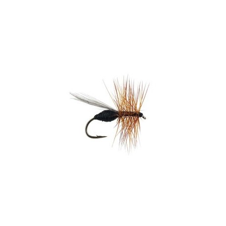 Devaux Black Ant