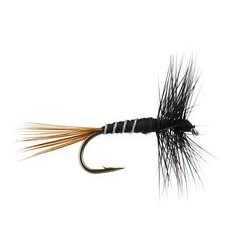 Devaux Black Ribbed