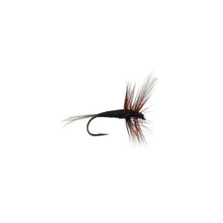 Devaux Black Winged
