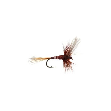 Devaux Brown Winged