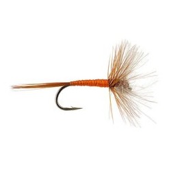 Devaux CDC Orange