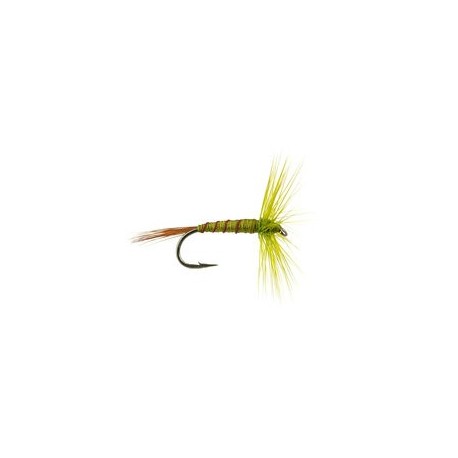 Devaux Olive Ribbed