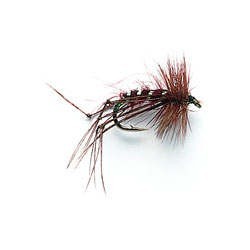 Dry Hoppers Brown
