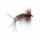 Dry Hoppers Brown